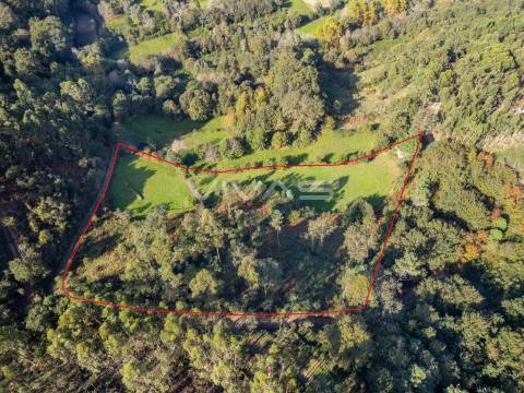 Terreno agrícola em Penascais, Vila Verde