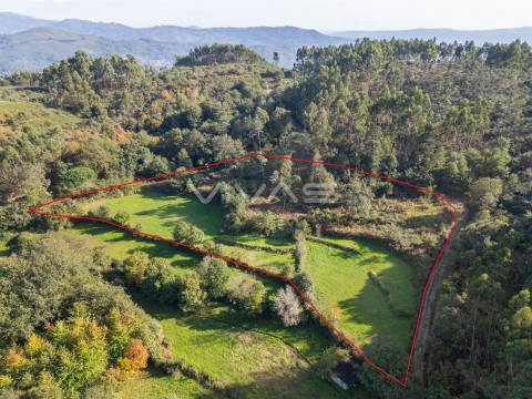 Terreno agrícola em Penascais, Vila Verde