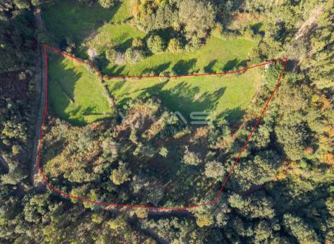 Terreno agrícola em Penascais, Vila Verde