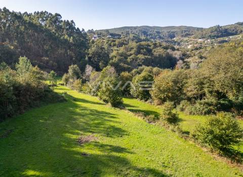 Terreno agrícola em Penascais, Vila Verde