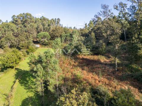 Terreno agrícola em Penascais, Vila Verde