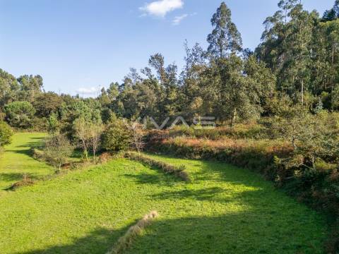 Terreno agrícola em Penascais, Vila Verde