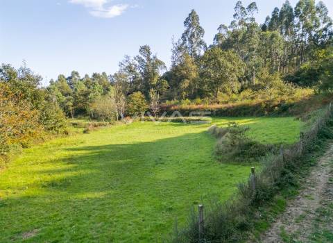 Terreno agrícola em Penascais, Vila Verde