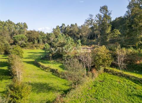 Terreno agrícola em Penascais, Vila Verde