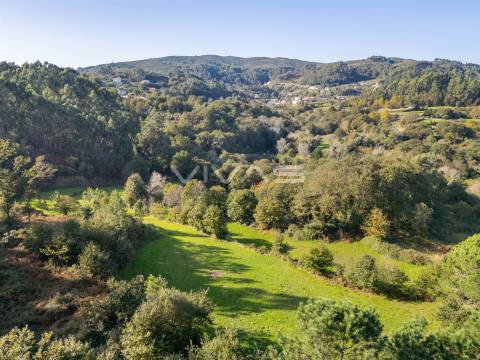 Terreno agrícola em Penascais, Vila Verde