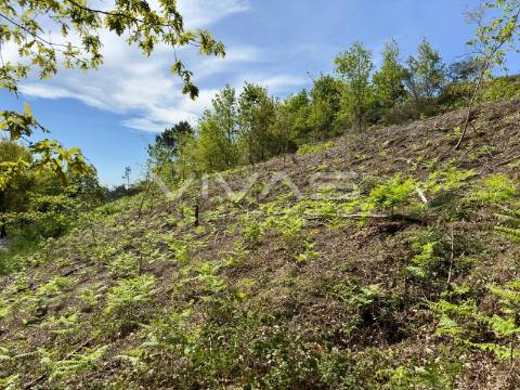 Terreno para construção em Ponte, Vila Verde