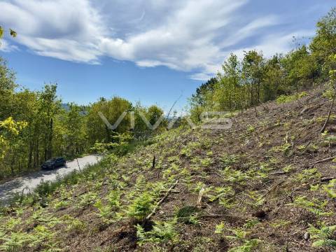Terreno para construção em Ponte, Vila Verde