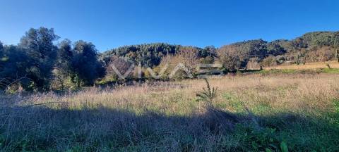Terreno agrícola em Dossãos, Vila Verde