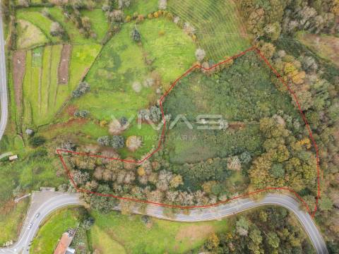 Terreno Rústico  Venda em Vade,Vila Verde