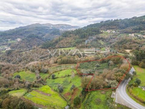 Terreno Rústico  Venda em Vade,Vila Verde