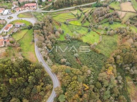 Terreno Rústico  Venda em Vade,Vila Verde