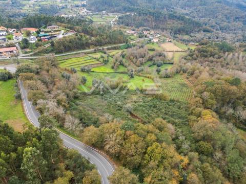 Terreno Rústico  Venda em Vade,Vila Verde