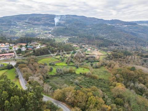 Terreno Rústico  Venda em Vade,Vila Verde