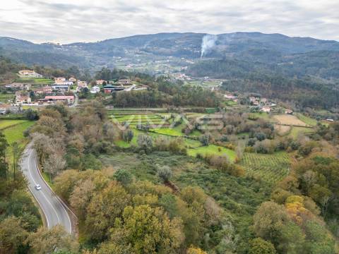 Terreno Rústico  Venda em Vade,Vila Verde