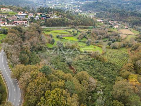 Terreno Rústico  Venda em Vade,Vila Verde