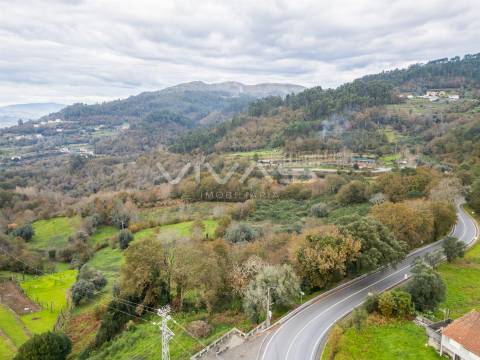 Terreno Rústico  Venda em Vade,Vila Verde