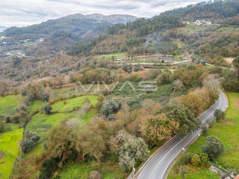 Terreno Rústico  Venda em Vade,Vila Verde