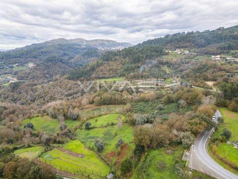 Terreno Rústico  Venda em Vade,Vila Verde