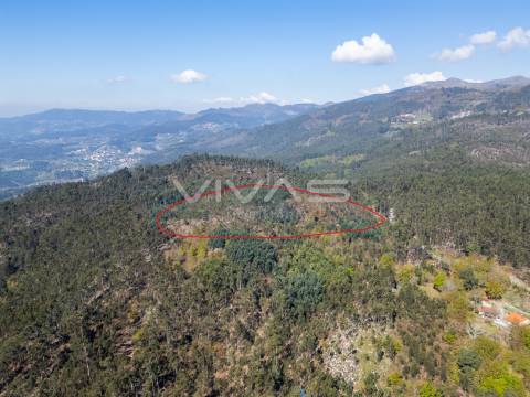 Terreno  Venda em Valdosende,Terras de Bouro