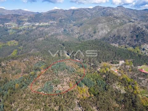 Terreno  Venda em Valdosende,Terras de Bouro