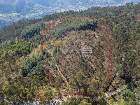 Terreno  Venda em Valdosende,Terras de Bouro