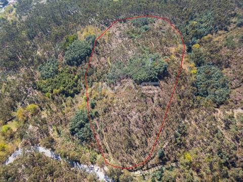Terreno  Venda em Valdosende,Terras de Bouro