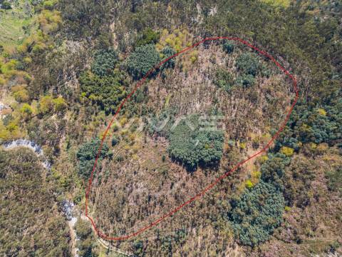 Terreno  Venda em Valdosende,Terras de Bouro