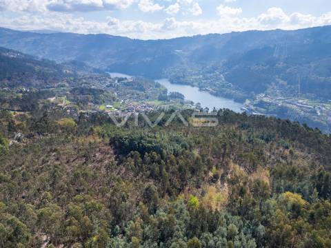 Terreno  Venda em Valdosende,Terras de Bouro