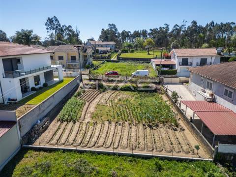Terreno Para Construção  Venda em Lage,Vila Verde