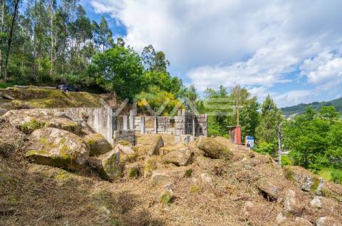 Terreno  Venda em Esqueiros, Nevogilde e Travassós,Vila Verde