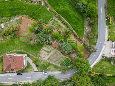 Terreno Rústico  Venda em Valdreu,Vila Verde