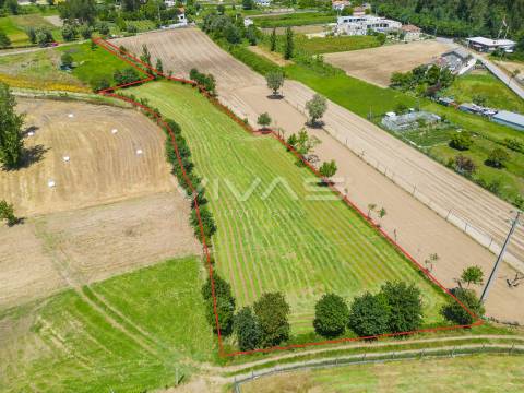 Terreno  Venda em Vila Verde e Barbudo,Vila Verde
