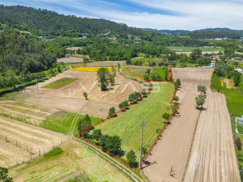Terreno  Venda em Vila Verde e Barbudo,Vila Verde