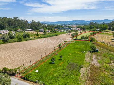 Terreno  Venda em Vila Verde e Barbudo,Vila Verde