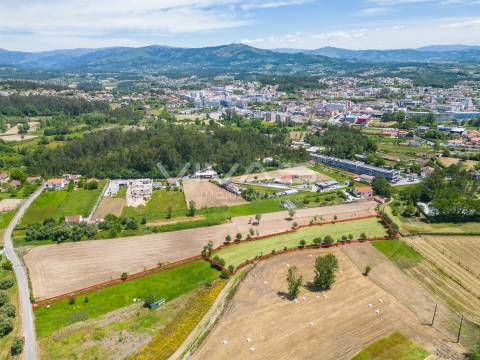 Terreno  Venda em Vila Verde e Barbudo,Vila Verde