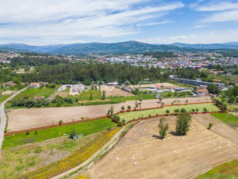 Terreno  Venda em Vila Verde e Barbudo,Vila Verde