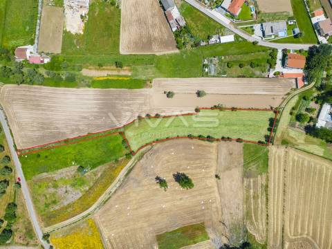 Terreno  Venda em Vila Verde e Barbudo,Vila Verde