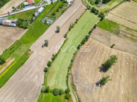 Terreno  Venda em Vila Verde e Barbudo,Vila Verde