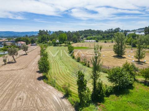 Terreno  Venda em Vila Verde e Barbudo,Vila Verde