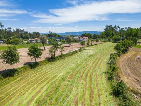 Terreno  Venda em Vila Verde e Barbudo,Vila Verde