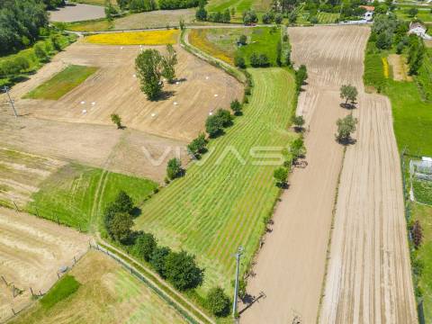 Terreno  Venda em Vila Verde e Barbudo,Vila Verde
