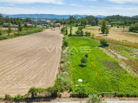 Terreno  Venda em Vila Verde e Barbudo,Vila Verde