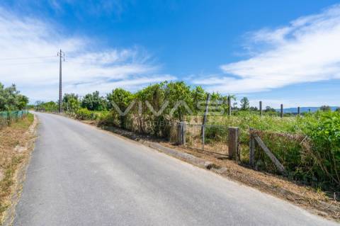 Terreno  Venda em Vila Verde e Barbudo,Vila Verde