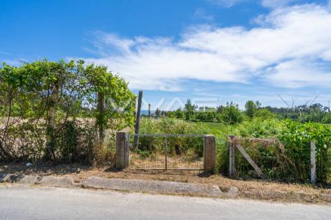 Terreno  Venda em Vila Verde e Barbudo,Vila Verde