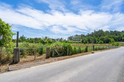 Terreno  Venda em Vila Verde e Barbudo,Vila Verde