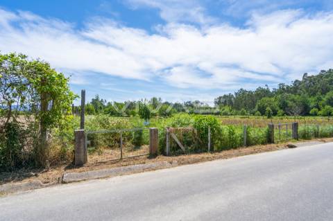 Terreno  Venda em Vila Verde e Barbudo,Vila Verde