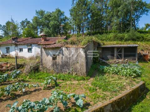 Moradia para Restaurar T0 Venda em Marrancos e Arcozelo,Vila Verde