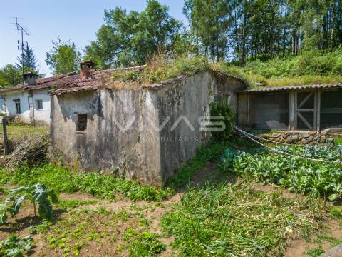 Moradia para Restaurar T0 Venda em Marrancos e Arcozelo,Vila Verde