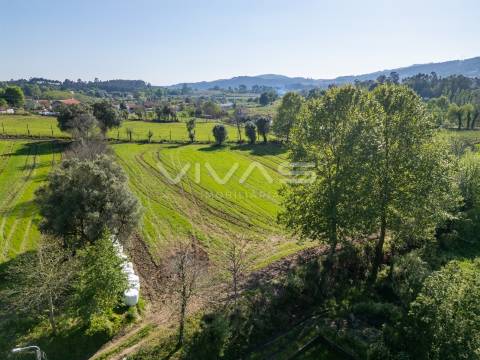 Terreno  Venda em Coucieiro,Vila Verde