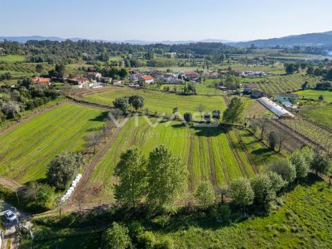 Terreno  Venda em Coucieiro,Vila Verde